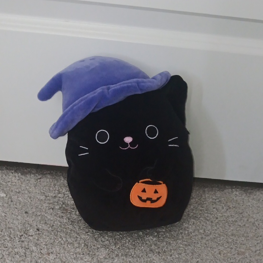 Squishmallows Black Cat with Purple Hat